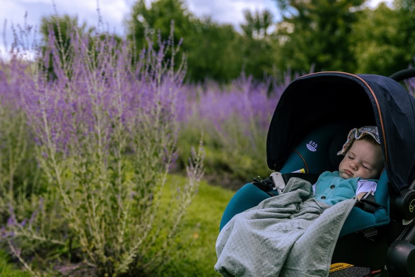 Image 2 du portfolio