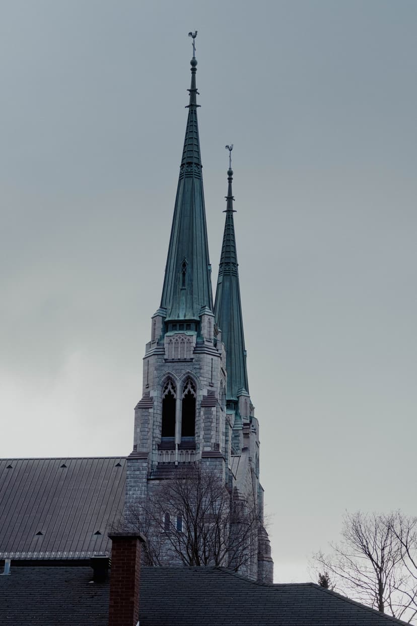 Image 12 du portfolio