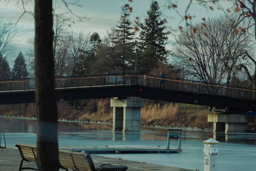 Image 13 du portfolio